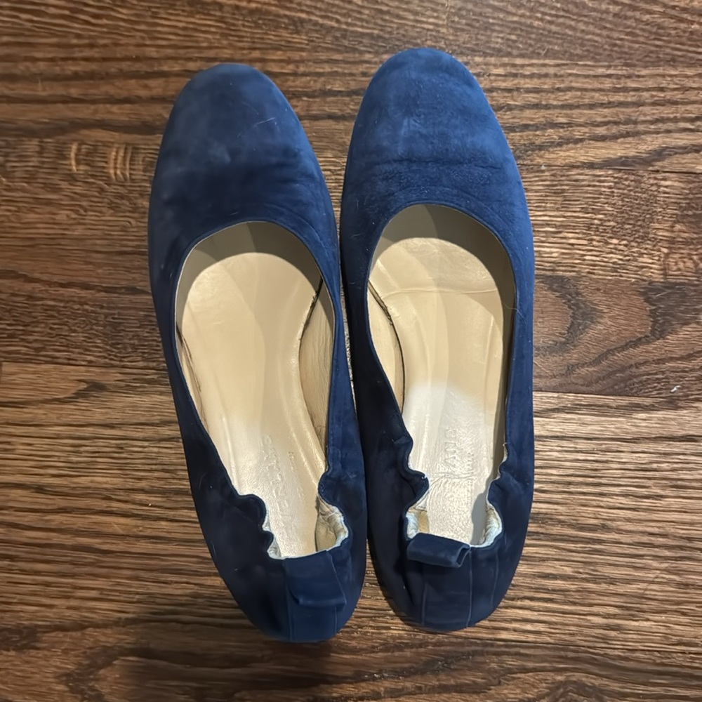 Everlane Navy Suede Flats